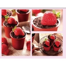 Plastic Cup 慕斯盆栽 (含蓋) 50入